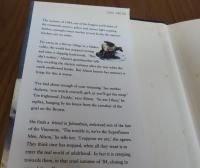 落葉の散る場所で　ティム・ピアーズ　：　 In the Place of Fallen Leaves 　〔英語〕