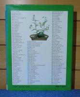 山野草 ―実際の栽培と記録―　北澤　廣