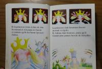 五つのおかしなおかしなお話　：　５ histoires bêtises　〔フランス語〕