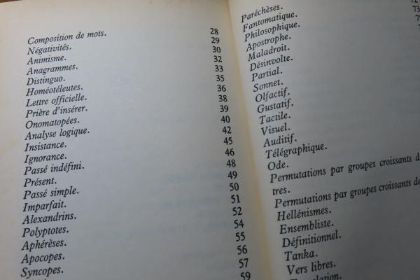 文体練習　レーモン.クノー exercices de style 翻訳版 文体練習 レーモン・クノー ： Exercices de Style folio〔洋書