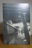 霧のトルビアック橋　レオ・マレ　：　Brouillard au Pont de Tolbiac　〔洋書/フランス語〕