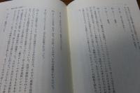 ニューヨークの啓示 - デイヴィッド・ヘイマンとの対話-　フィリップ・ソレルス