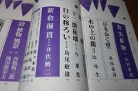 文芸雑誌　海　イレーヌ　ルイ・アラゴン　生田耕作訳