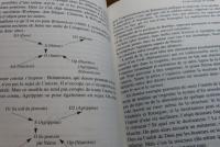 【lettres 128】 演劇学講義－テクスト・ドラマトゥルギー・小史－　：　Le Théâtre  -text  dramaturgie  histoire-　　／　 【fac. littéreture】 フランス演劇学　 ：　 Le Théâtre français  　 (2冊セット)〔洋書/フランス語〕