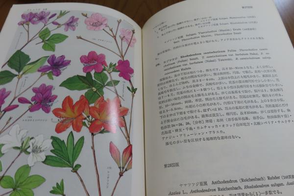 原色日本植物図鑑 〔木本編〕 Ⅰ・Ⅱ （全2冊）(北村四郎, 村田源