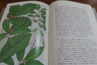原色日本植物図鑑　〔木本編〕　Ⅰ・Ⅱ　（全２冊）