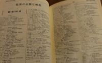 【中国語】　日中辞典　［RI-ZHONG CIDIAN］　（和中辞典）