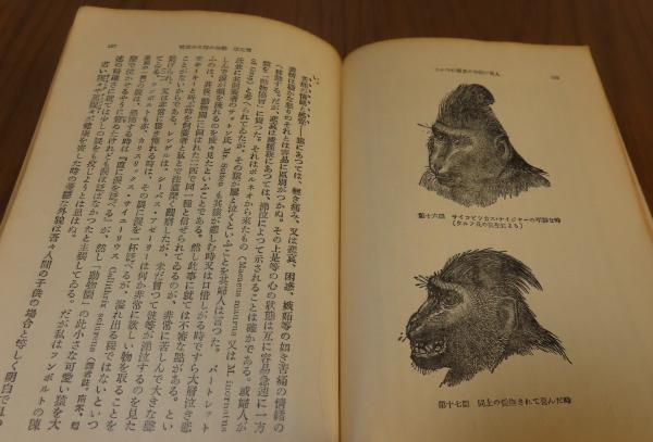 人間及び動物の表情 Amazon.co.jp: 人及び動物の表情について : ダーウィン: 本
