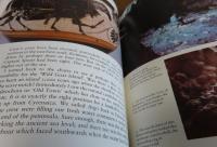 英） The ULYSSES VOYAGE -Sea search for the Odyssey-