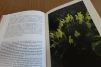 英） Alpines in the Open Garden   Jack Elliott