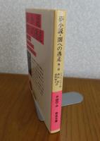 【岩波文庫】 夢小説・闇への逃走　他一篇　　シュニッツラー