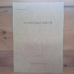 村東遺跡発掘調査報告書