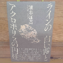 ラインの白い霧とアクロポリスの円柱
