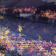 ホワイトトラック・グリーントラック