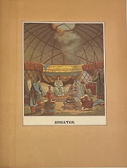 Shelter