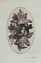 林由紀子　手彩入銅版蔵書票　「紅い百合　黒い髪」
