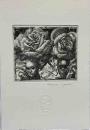 林由紀子　銅版蔵書票　「バラ連祷Ⅳ」