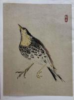 現代作家デッサン　金島桂華