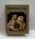 DOGS