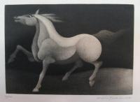 坂本好一銅版画　博物集