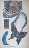 白と黒　第一年第四號