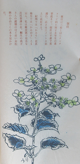 和紙 | 後藤清吉郎 | ギャラリー吾八 | ¥8,800 - 日本の古本屋 / 日本