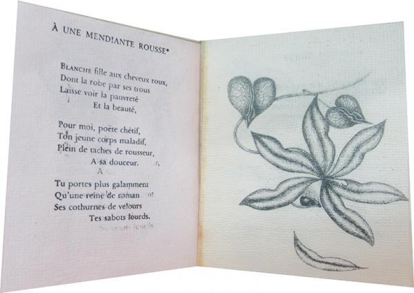 Les Fleurs Du Mal 悪の華 Charles Bauderaire シャルル ボードレール 古本 中古本 古書籍の通販は 日本の古本屋 日本の古本屋