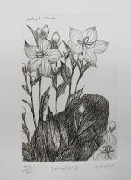 花にめざめよ