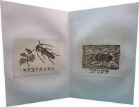 昆虫四季　冬・春