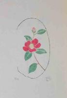 鎌倉「花信抄」
