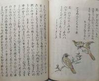 とりのうた合
