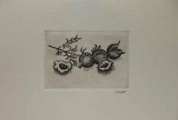 宮下登喜雄　銅版画　