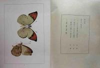 虫類百姿