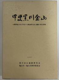 甲斐黒川金山　山梨県塩山市に所在する戦国時代金山遺跡の総合調査
