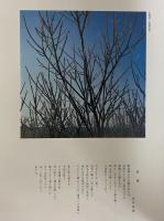 写真集　日本の詩歌