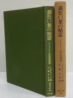 黄色い葉の精霊　インドシナ山岳民族誌　（東洋文庫108）