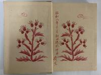 読書の興味