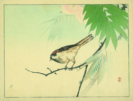 雀