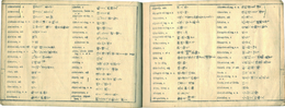 英和対訳袖珍辞書