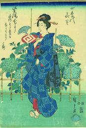 四季の花園　紫陽花