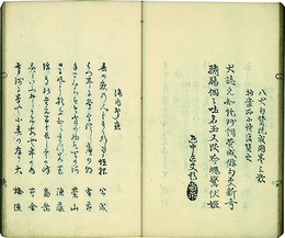 俳諧いのこ草