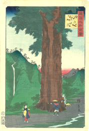 諸国名所百景　甲州矢立杉