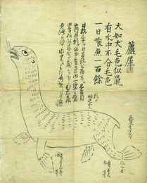 蘆犀　