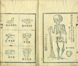 全体新論