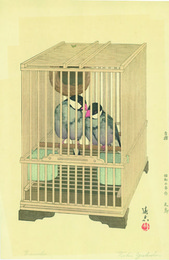 文鳥