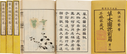 草木図説前編 草部