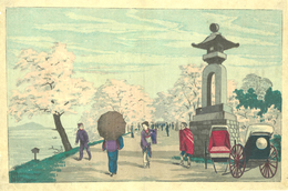 向島桜