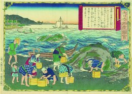 大日本物産図会　越前国　海膽取之図
