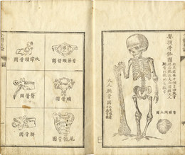 全体新論