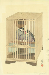 文鳥